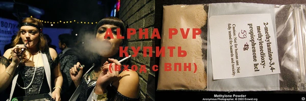 сатива Бородино