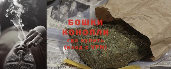 гидра Бронницы