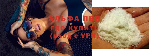 сатива Бородино