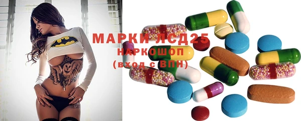гидра Бронницы