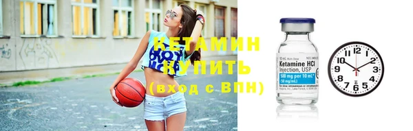 сатива Бородино