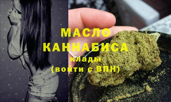сатива Бородино