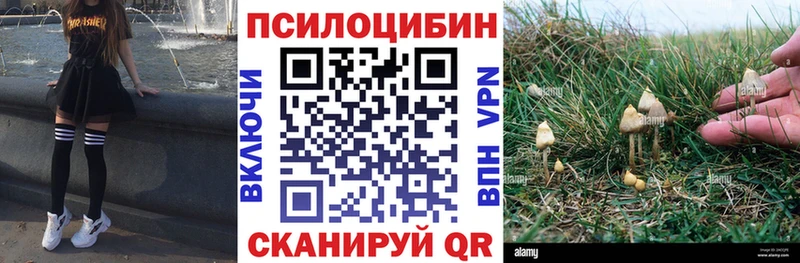 цены наркотик  Меленки  Галлюциногенные грибы Cubensis 
